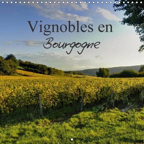 Vignobles En Bourgogne 2017