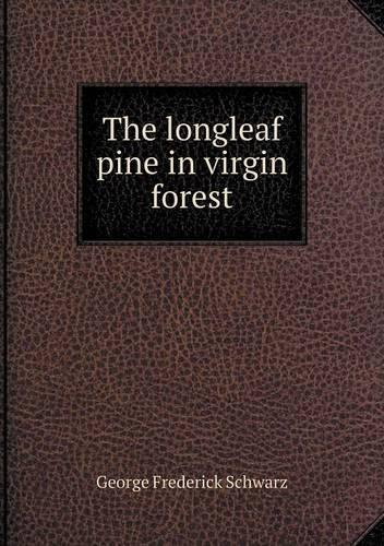 The longleaf pine in virgin forest