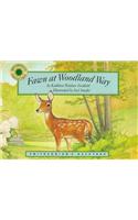 Fawn at Woodland Way