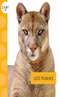 Los Pumas