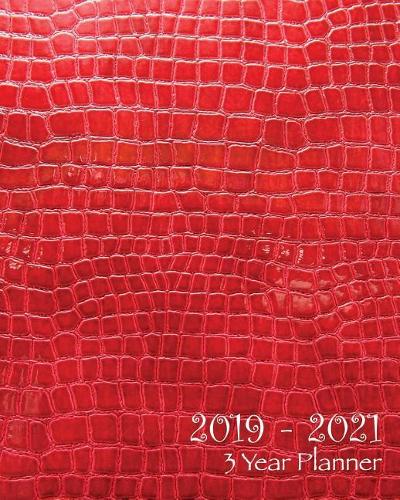 2019-2021 Three Year Planner