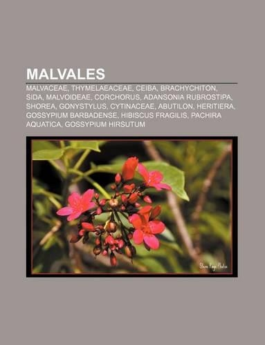 Malvales