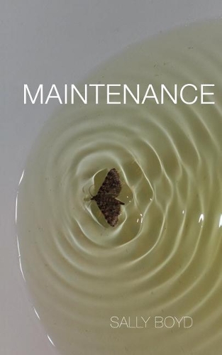 Maintenance