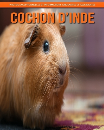 Cochon d'Inde
