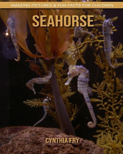 SeaHorse