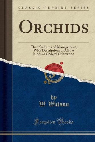 Orchids