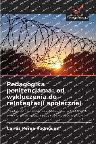 Pedagogika penitencjarna