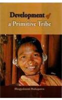 Development Of A Primitive Tribe
