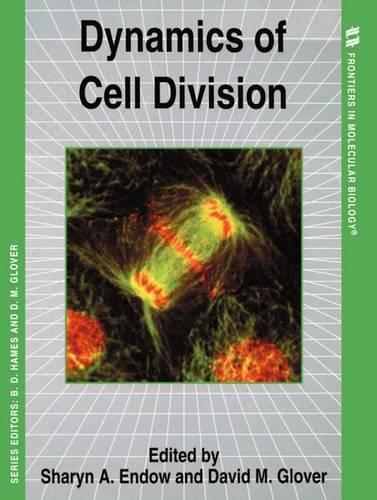 Dynamics of Cell Division