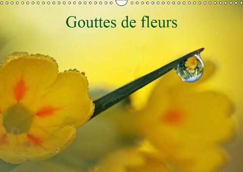Gouttes de fleurs 2019