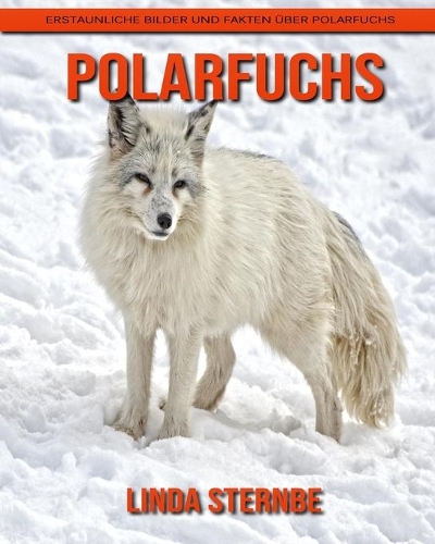 Polarfuchs