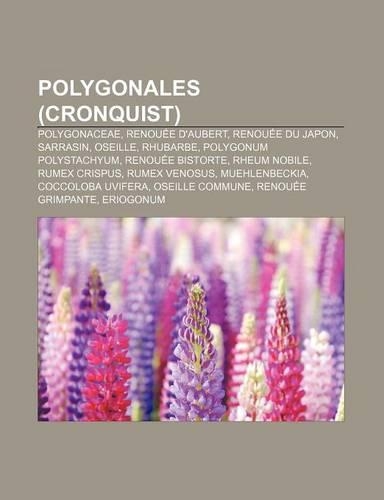 Polygonales (Cronquist)