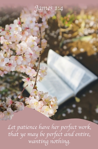 Strength Bulletin (Pkg 100) Legacy