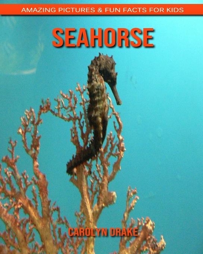 SeaHorse