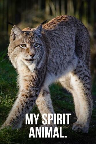 My Spirit Animal