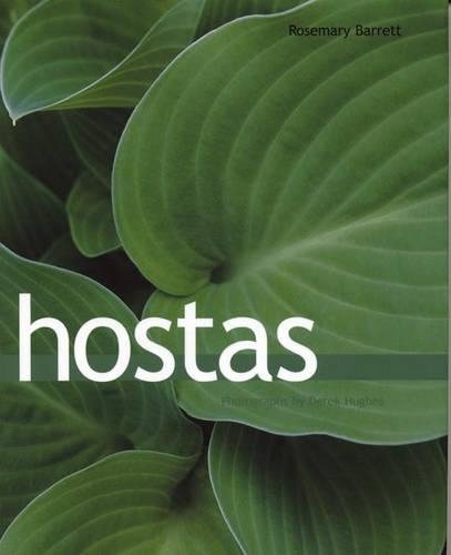 Hostas