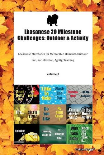 Lhasanese 20 Milestone Challenges