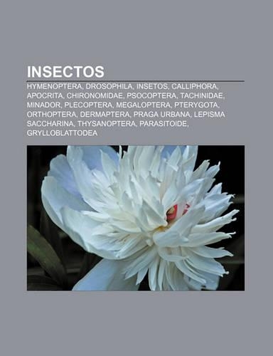 Insectos