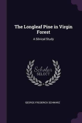 The Longleaf Pine in Virgin Forest