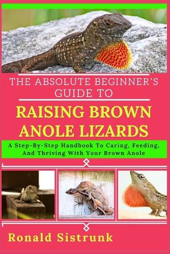 The Absolute Beginner's Guide to Raising Brown Anole Lizards