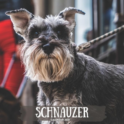 Schnauzer Calendar 2021