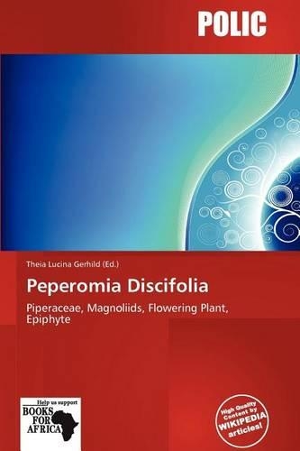 Peperomia Discifolia