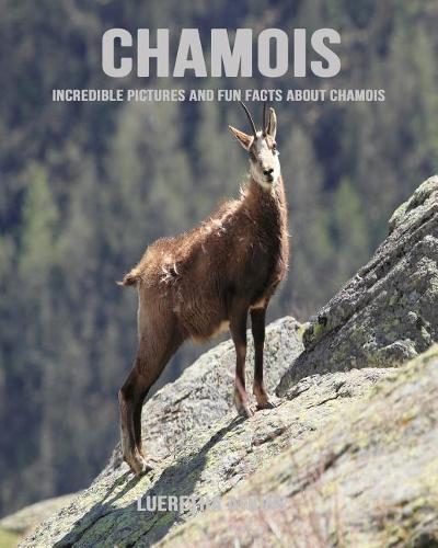Chamois