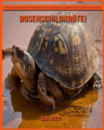 Dosenschildkröte! Ein pädagogisches Kinderbuch über Dosenschildkröte mit lustigen Fakten