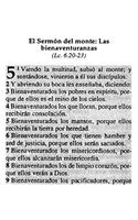 Biblia de Promesas Bolsillo Negra