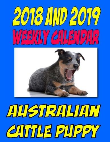 2018 and 2019 Australian Cattle Puppy
