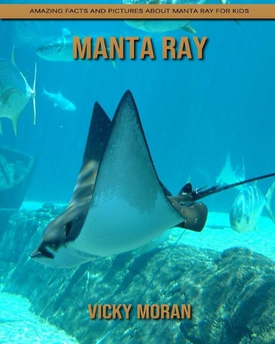 Manta Ray