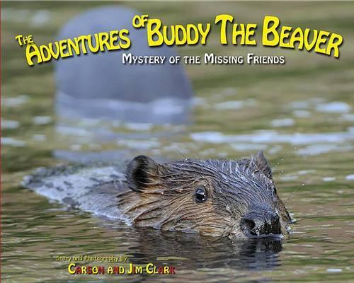 The Adventures of Buddy the Beaver