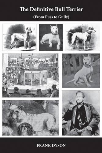 The Definitive Bull Terrier (and making the Miniature Bull Terrier)