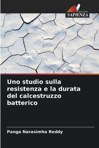 Uno studio sulla resistenza e la durata del calcestruzzo batterico