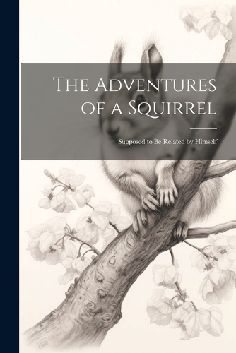 The Adventures of a Squirrel
