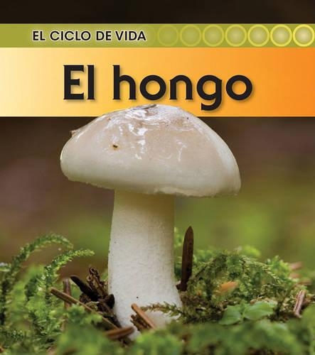 El Hongo