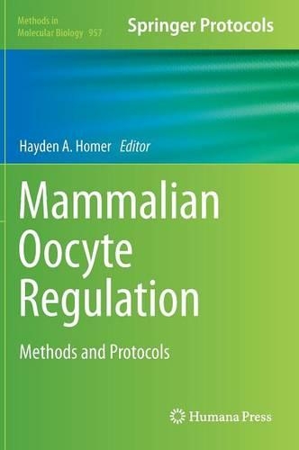 Mammalian Oocyte Regulation
