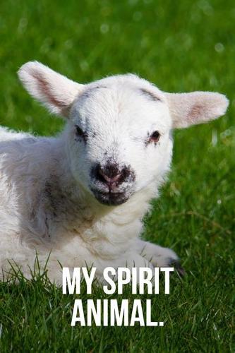 My Spirit Animal