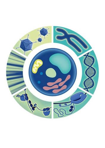 Encyclopedia of Molecular Cell Biology and Molecular Medicine