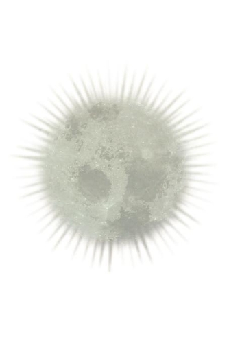 Notizbuch - Moonshine