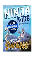 Fun Learning Facts about Swans