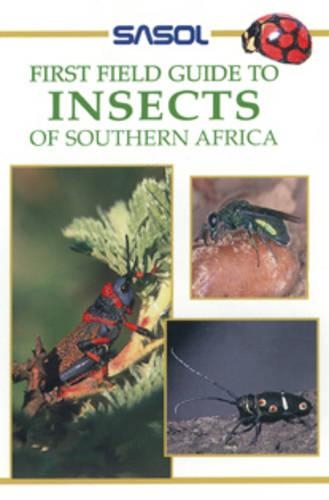 Sasol First Field Guide to Insects of Southern Africa