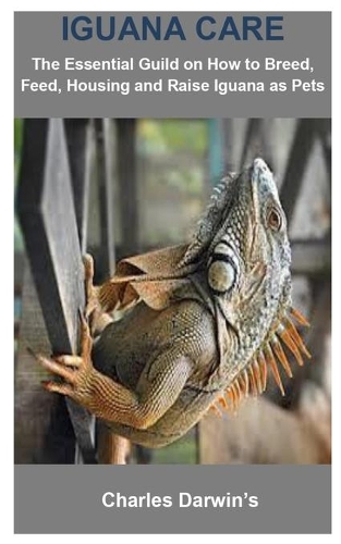Iguana Care