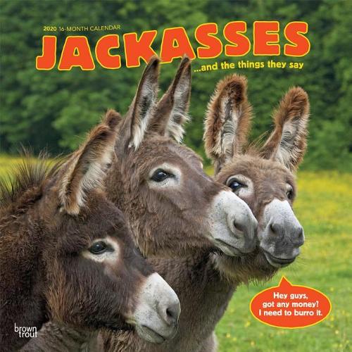 Jackasses 2020 Square Wall Calendar