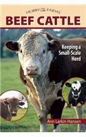 Beef Cattle
