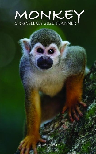 Monkey 5 x 8 Weekly 2020 Planner: 1 Year Calendar