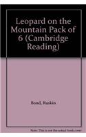 Leopard on the Mountain Pack of 6