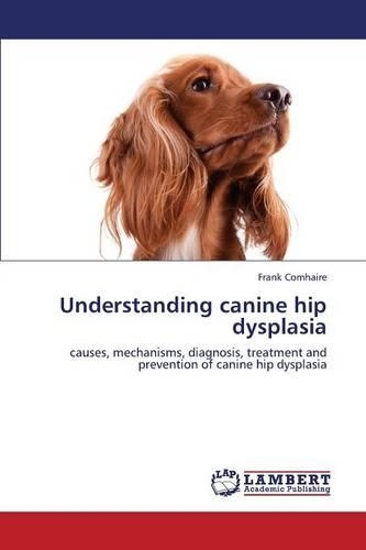 Understanding Canine Hip Dysplasia