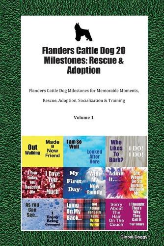 Flanders Cattle Dog 20 Milestones