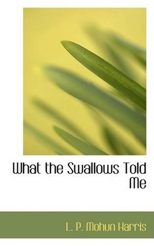 What the Swallows Told Me